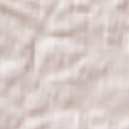 Sieniawa Terrain Map