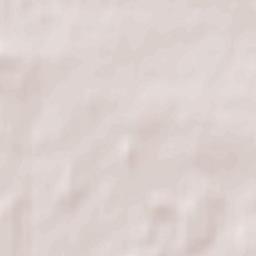 Lahishyn Terrain Map