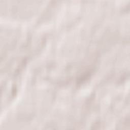 Homyel’ski Rayon Terrain Map