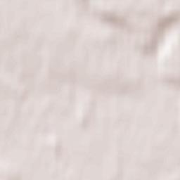 Sachkovichi Terrain Map