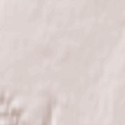 Svobodnyy Terrain Map