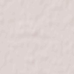 Nowy Tomyśl Terrain Map