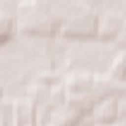 Kazimierz Biskupi Terrain Map