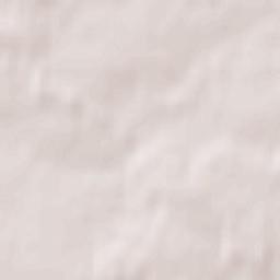 Wierzbno Terrain Map