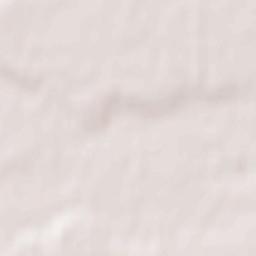 Smolenskoye Terrain Map