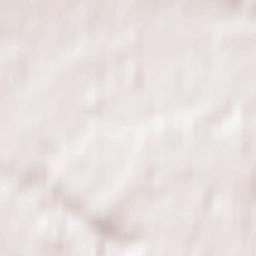 Nienstädt Terrain Map