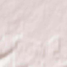 Egestorf Terrain Map