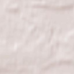 Powiat warszawski zachodni Terrain Map