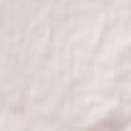 Newmarket Terrain Map