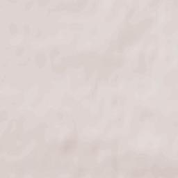 Żychlin Terrain Map