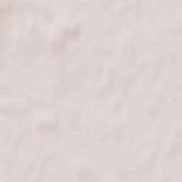 Luninyets Terrain Map