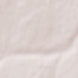 Krasnogorskiy Terrain Map