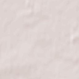 Bottisham Terrain Map