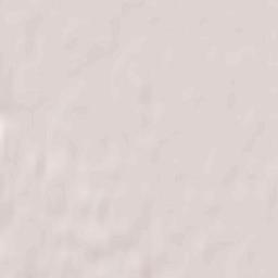 Wiesenau Terrain Map