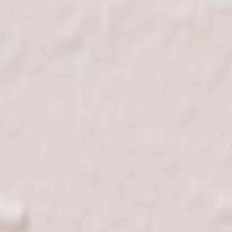 Powiat wrzesiński Terrain Map