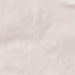 Powiat łosicki Terrain Map