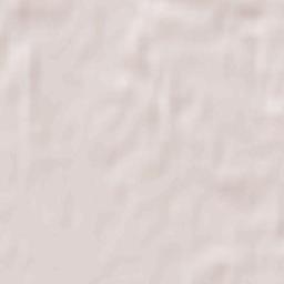 Mikashevichy Terrain Map