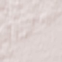 Zhytkavichy Terrain Map