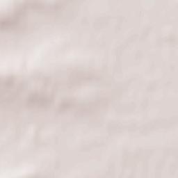 Dahlenwarsleben Terrain Map