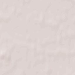 Chąśno Terrain Map