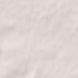 Janów Podlaski Terrain Map