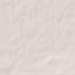 Asnyezhytsy Terrain Map