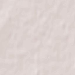 Springbrook Terrain Map