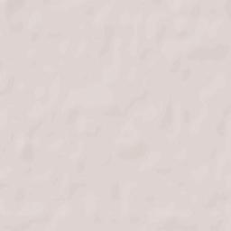 Bieniewice Terrain Map