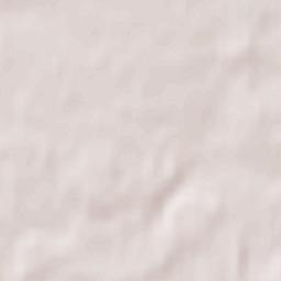 Mińsk Mazowiecki Terrain Map