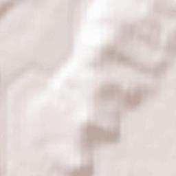 Ust’-Isha Terrain Map