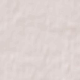 Neue Neustadt Terrain Map