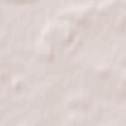 Rakoniewice Terrain Map