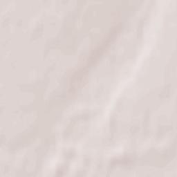 Czempiń Terrain Map