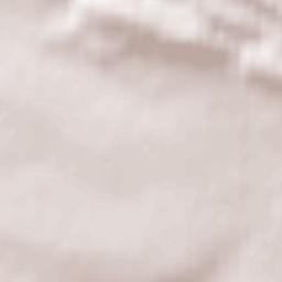 Remlingen Terrain Map