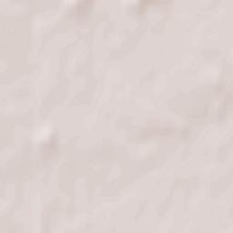 Wielichowo Terrain Map