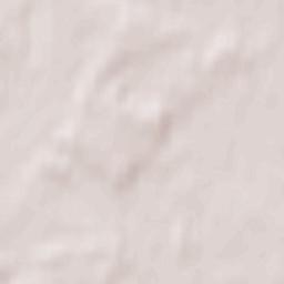 Leśna Podlaska Terrain Map