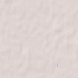 Lunteren Terrain Map