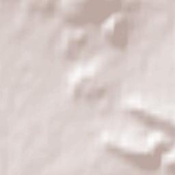 Borgholzhausen Terrain Map