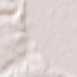 Neuzelle Terrain Map