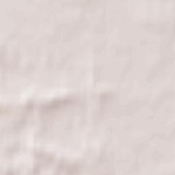 Władysławów Terrain Map