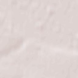 Powiat śremski Terrain Map