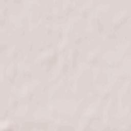 Rychwał Terrain Map