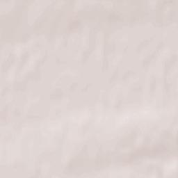 Łęczyca Terrain Map