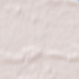 Świnice Warckie Terrain Map