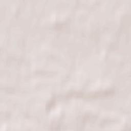 Domanice Terrain Map