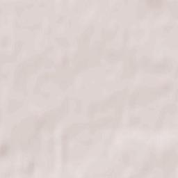 Biała Podlaska Terrain Map