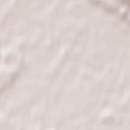 Steinhagen Terrain Map