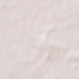 Domaniewice Terrain Map