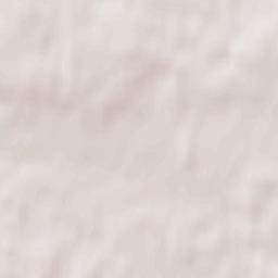 Radziejowice Terrain Map