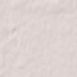 Brestski Rayon Terrain Map